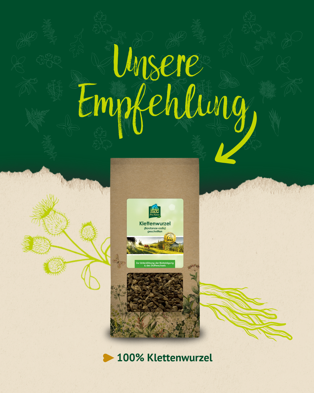 Produktabbildung von getrockneter Klettenwurzel mit Hinweis „Unsere Empfehlung“ und Kennzeichnung „100 % Klettenwurzel“.