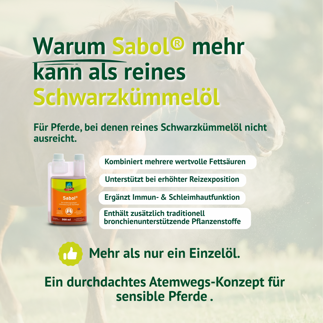 Warum Sabol® mehr kann als reines Schwarzkümmelöl – durchdachtes Atemwegs-Konzept mit wertvollen Fettsäuren und Pflanzenstoffen.