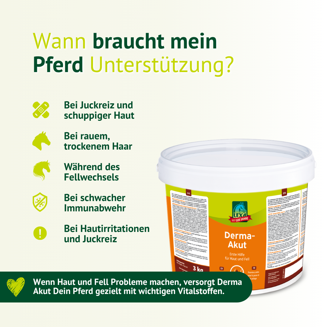 Übersicht, wann Pferde bei Juckreiz, Schuppen, rauem Fell oder Hautirritationen Unterstützung durch LEXA Derma-Akut brauchen.