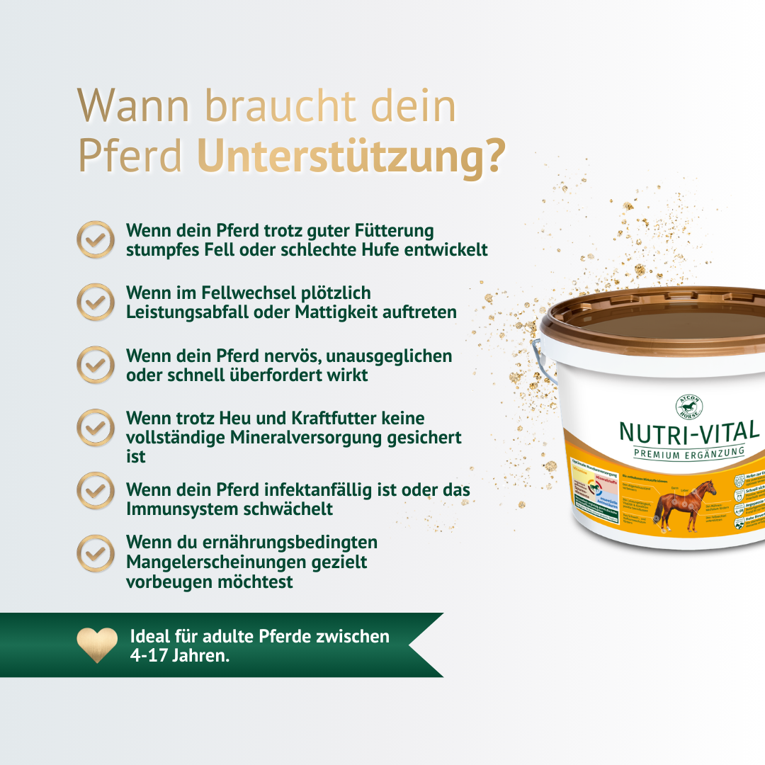 Wann braucht dein Pferd Unterstützung? – NUTRI-VITAL als Mineralergänzung bei Fellwechsel, Leistungsabfall oder Nährstoffmangel