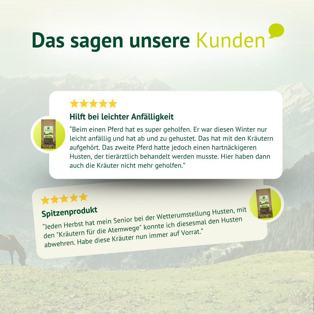 Kundenbewertungen zur Kräutermischung für Pferde mit positiven Erfahrungen bei Atemwegsproblemen