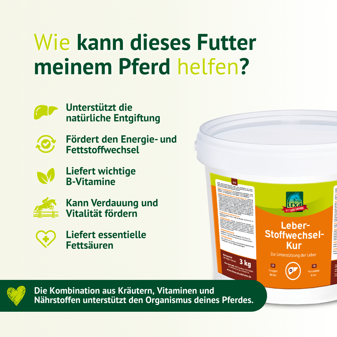 Produktgrafik der LEXA Leber-Stoffwechsel-Kur mit Vorteilen für Stoffwechsel, Energie, B-Vitamine, Verdauung und Fellgesundheit.