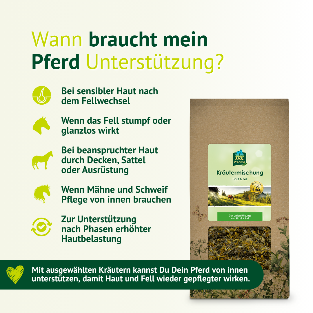 Infografik zur LEXA Kräutermischung Haut & Fell mit Anwendungsbereichen wie Fellwechsel, Juckreiz und empfindlicher Haut