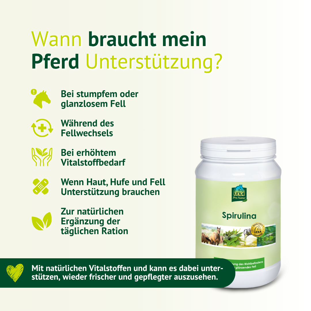 LEXA Spirulina als natürliche Unterstützung für Pferde bei stumpfem Fell, Fellwechsel, erhöhtem Vitalstoffbedarf sowie Haut-, Huf- und Fellpflege.