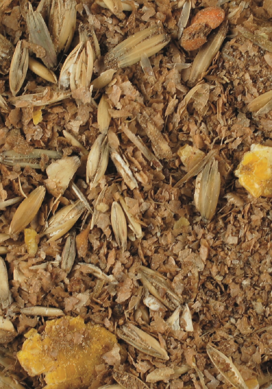 Pflanzenmischung aus Samen und getrockneten Bestandteilen Eine Mischung aus verschiedenen Samen und getrockneten Pflanzenbestandteilen, in erdigen Tönen.