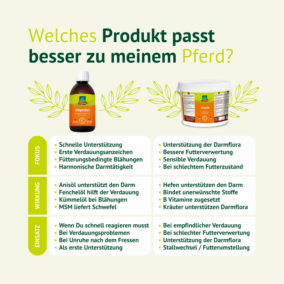Vergleich von LEXA Digestol und DigestCare zur Auswahl des passenden Produkts für die Verdauung deines Pferdes.