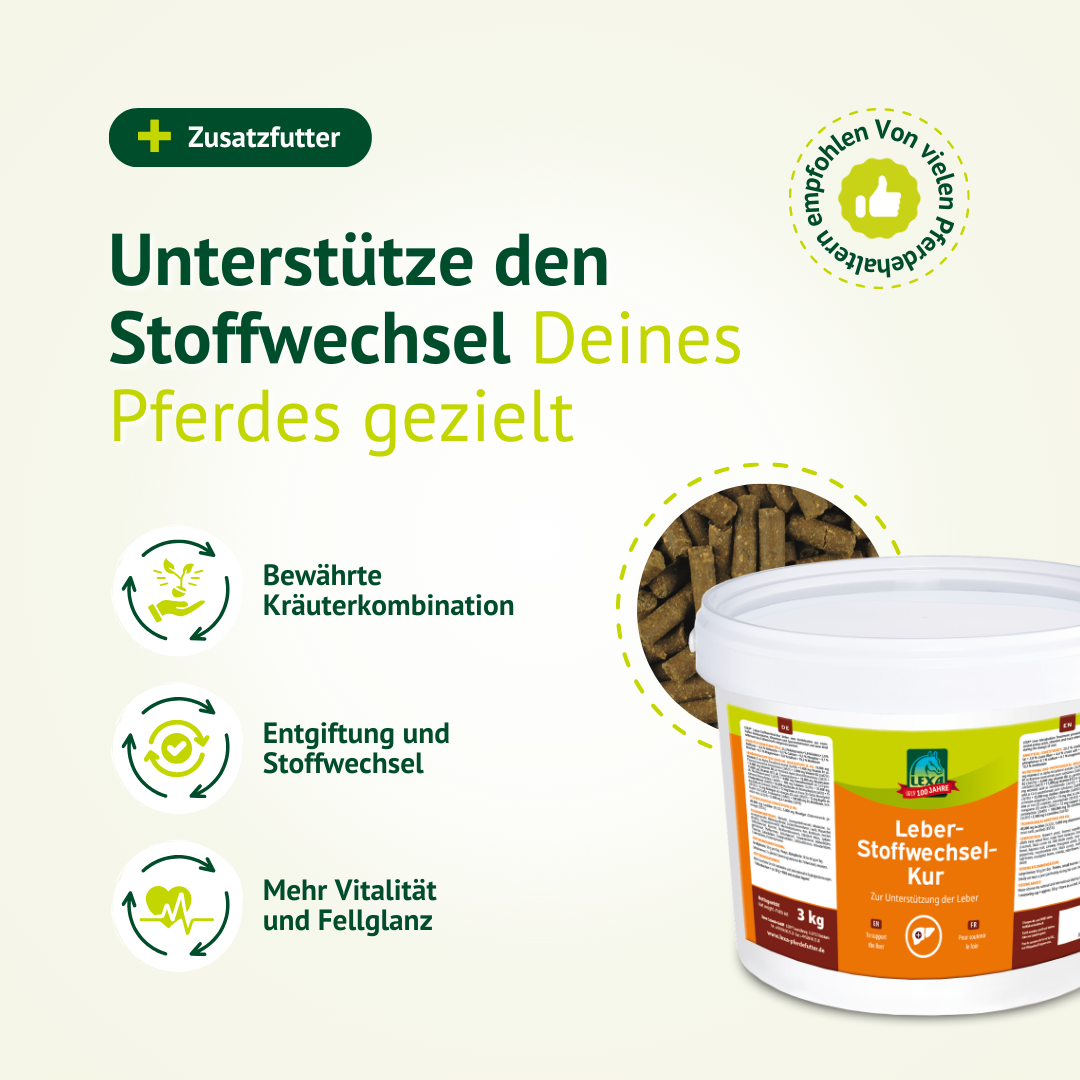 LEXA Leber-Stoffwechsel-Kur für Pferde zur gezielten Unterstützung des Stoffwechsels mit Kräutern, Entgiftung und mehr Vitalität.