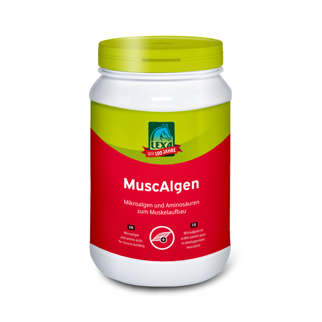 LEXA MuscAlgen, zum Muskelaufbau während der Trainingsphase, 3 kg Eimer