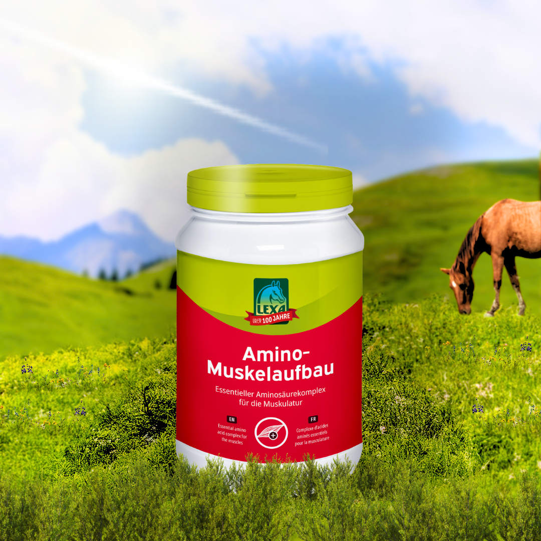 LEXA Amino-Muskelaufbau Produktdose auf grüner Wiese mit weidendem Pferd im Hintergrund