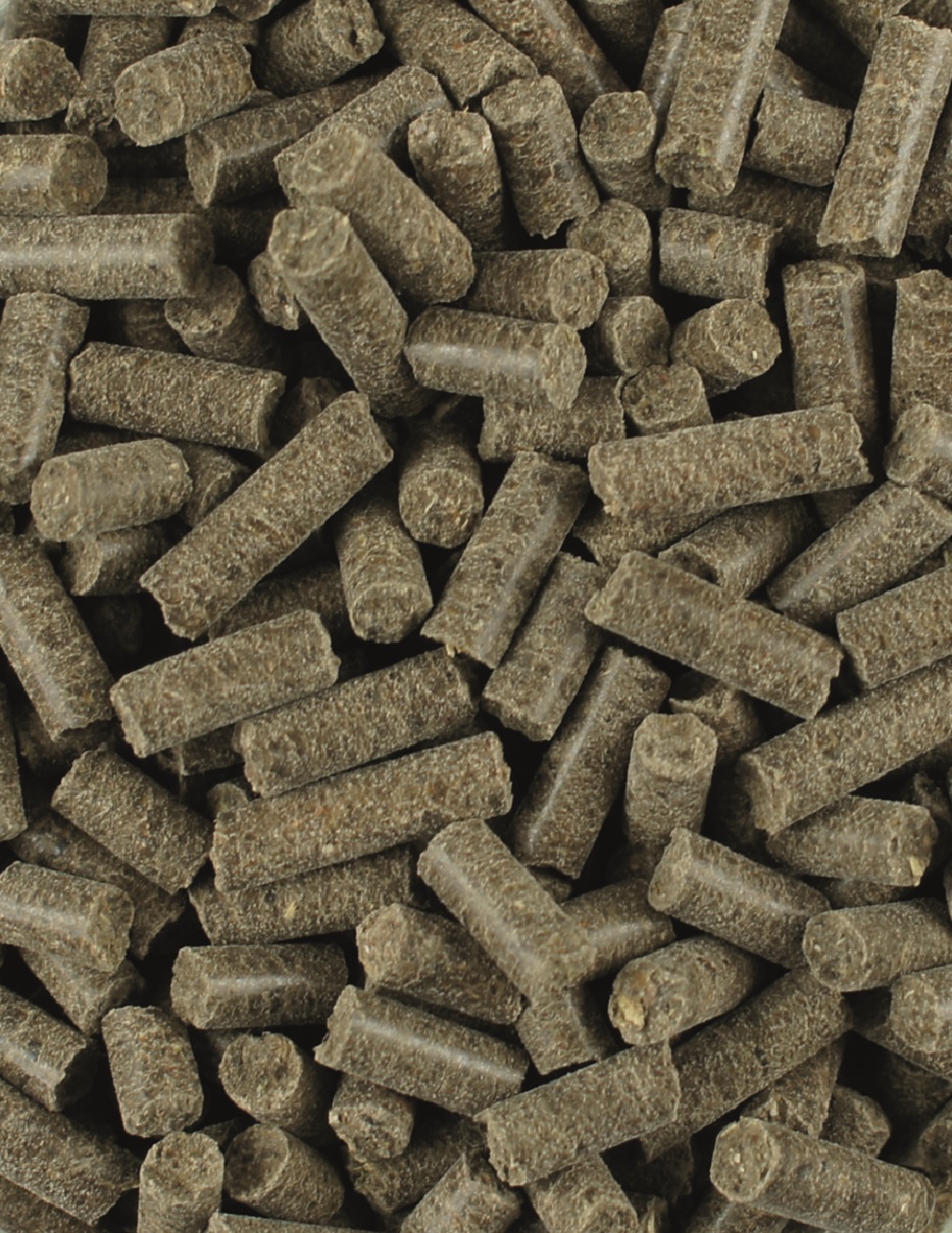 Pflanzenpellets Grüne Pellets aus Pflanzenmaterial, gleichmäßig geformt und gestapelt.