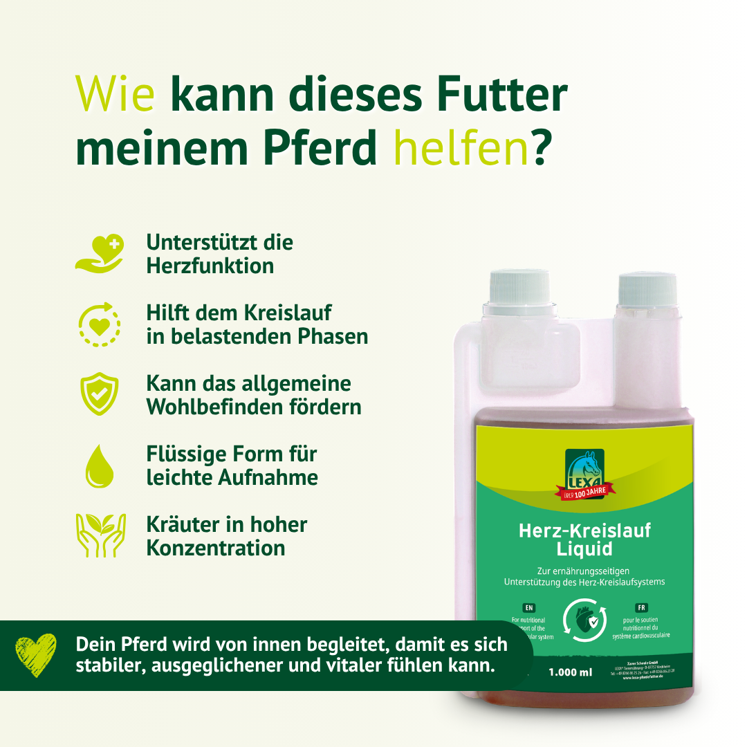 LEXA Herz-Kreislauf Liquid unterstützt die Herzfunktion, den Kreislauf und das allgemeine Wohlbefinden des Pferdes.