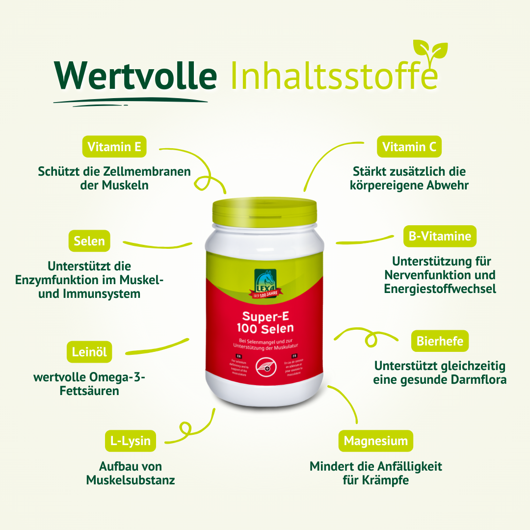 Darstellung der Inhaltsstoffe von LEXA Super-E 100 Selen wie Vitamin E, Selen, Lysin und Magnesium