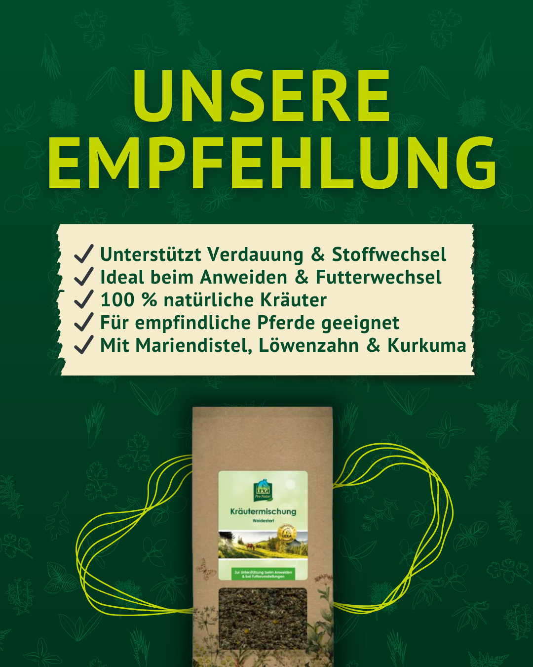 Produktempfehlung Winterkräuter Mischung – hochwertige Ergänzung für dein Pferd