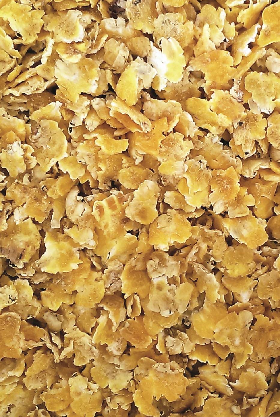 Getrocknete Haferflocken Getrocknete, goldene Haferflocken auf einem flachen Untergrund.