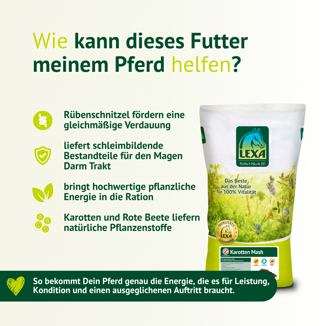 So unterstützt Karotten Mash dein Pferd – gleichmäßige Verdauung, Energie und natürliche Pflanzenstoffe