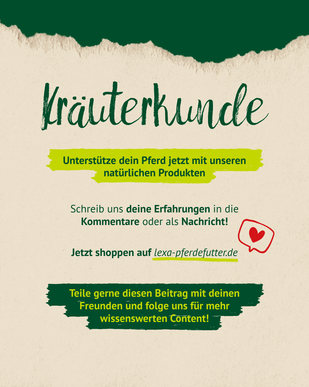 Abschlussgrafik Kräuterkunde Brennnessel mit Hinweis auf natürliche Unterstützung für Pferde und Call-to-Action