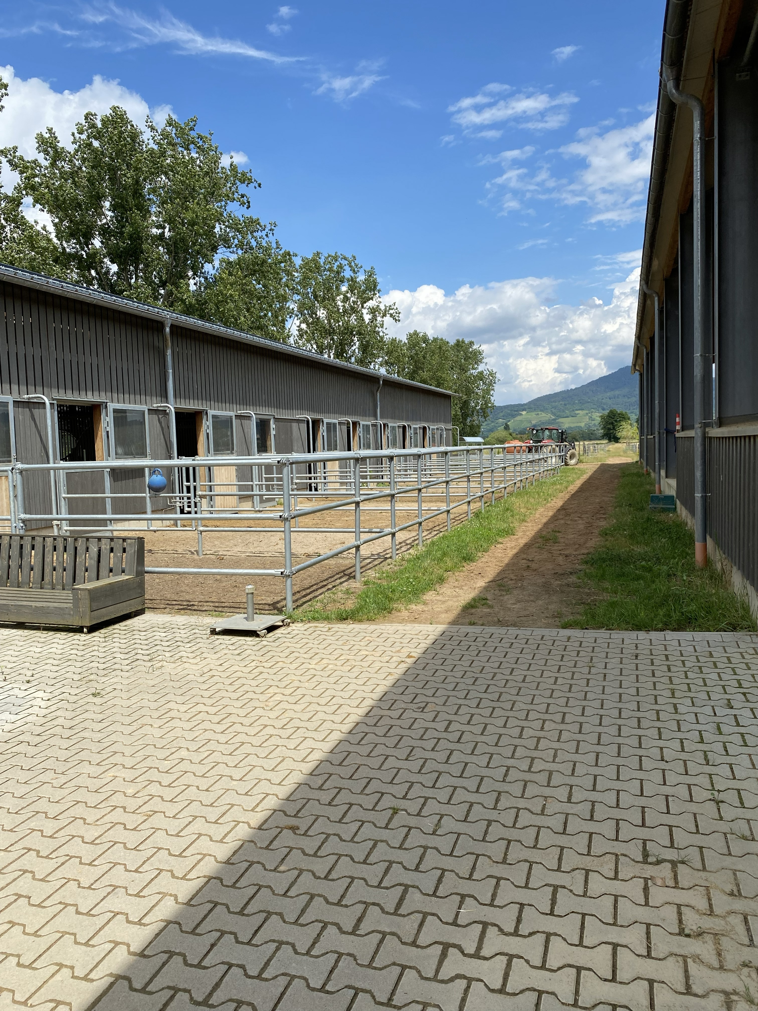 Moderner Pferdestall mit Paddocks und Metallzäunen, umgeben von grünen Bäumen und Bergen unter blauem Himmel.