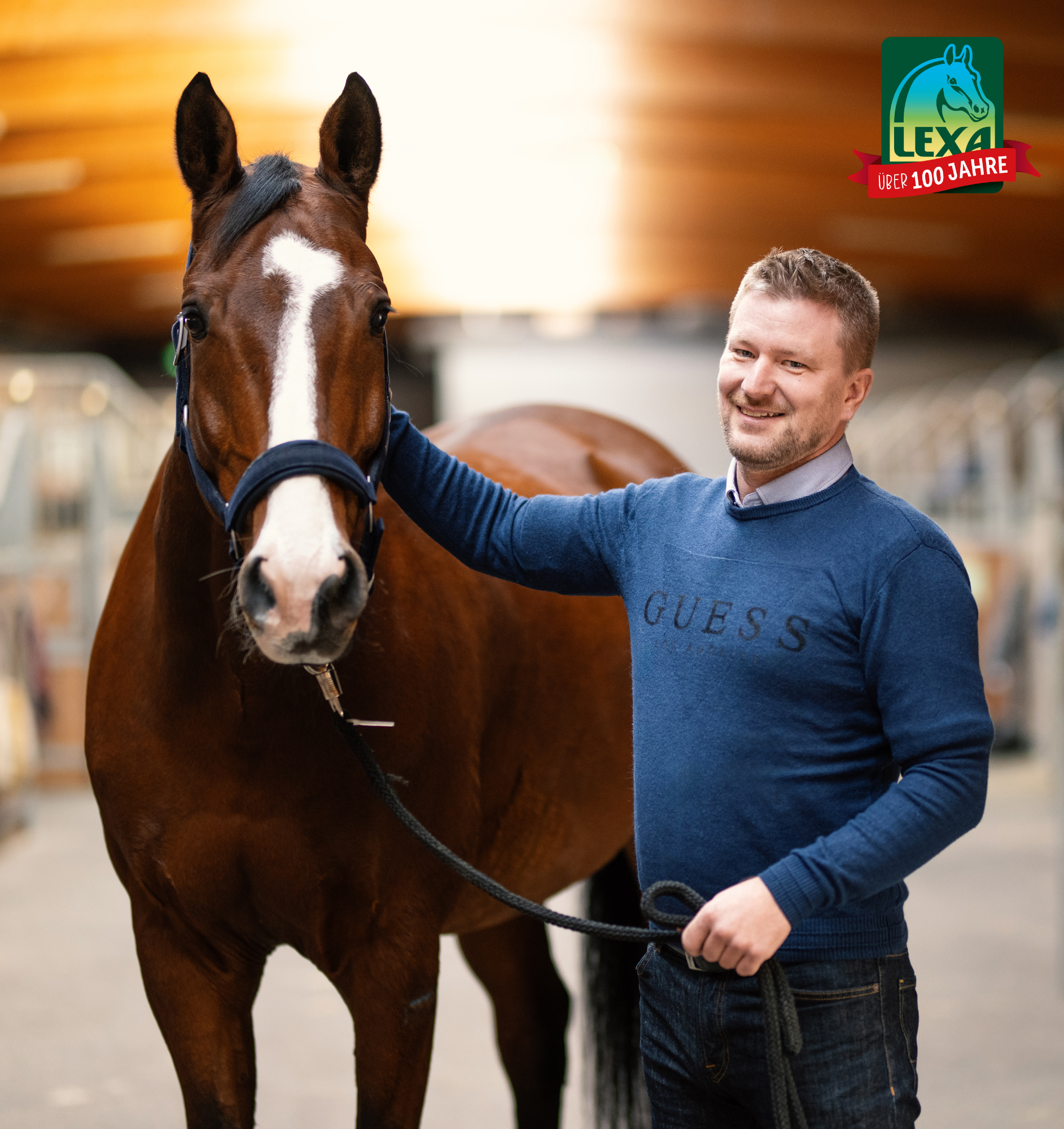 Mann mit Pferd im Stall Mann mit braunem Pferd in einem Stall, lächelt und hält das Pferd an der Leine.