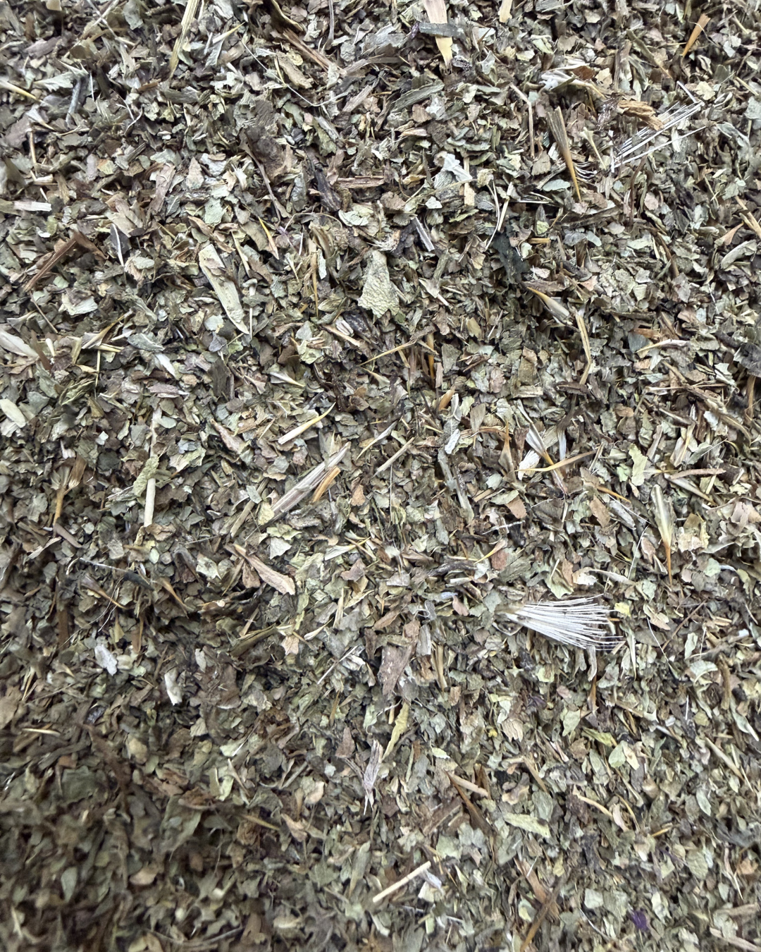 geschnittenes Mariendistelkraut auf einem Haufen
