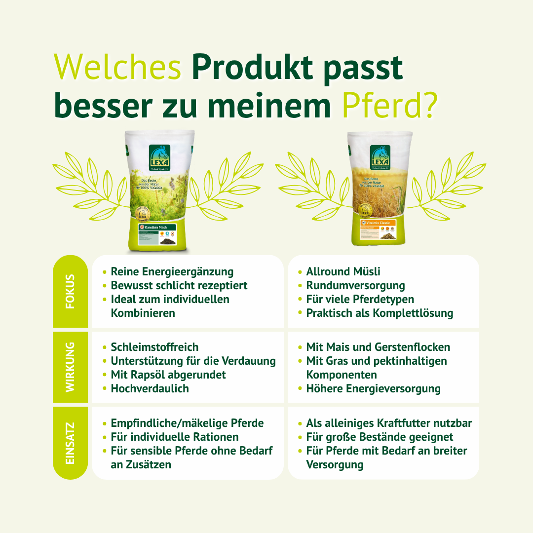 Welches Pferdefutter passt besser – Vergleich Karotten Mash und Allround Müsli für individuelle Bedürfnisse
