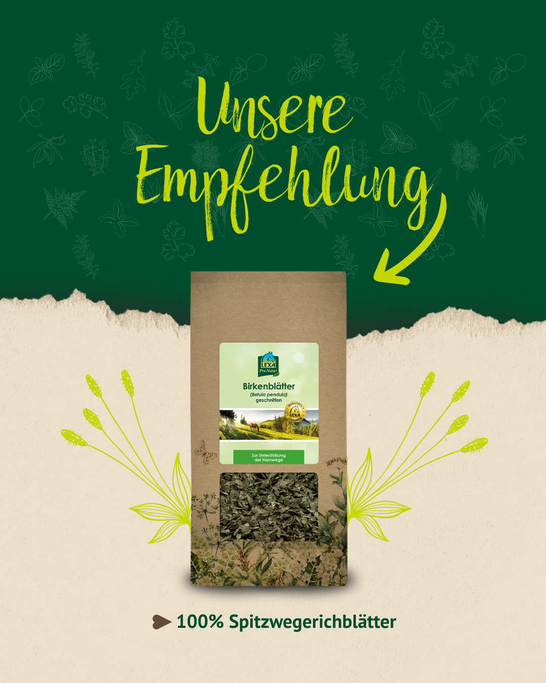 Produktempfehlung mit getrockneten Spitzwegerichblättern als natürliche Ergänzung für Pferde.