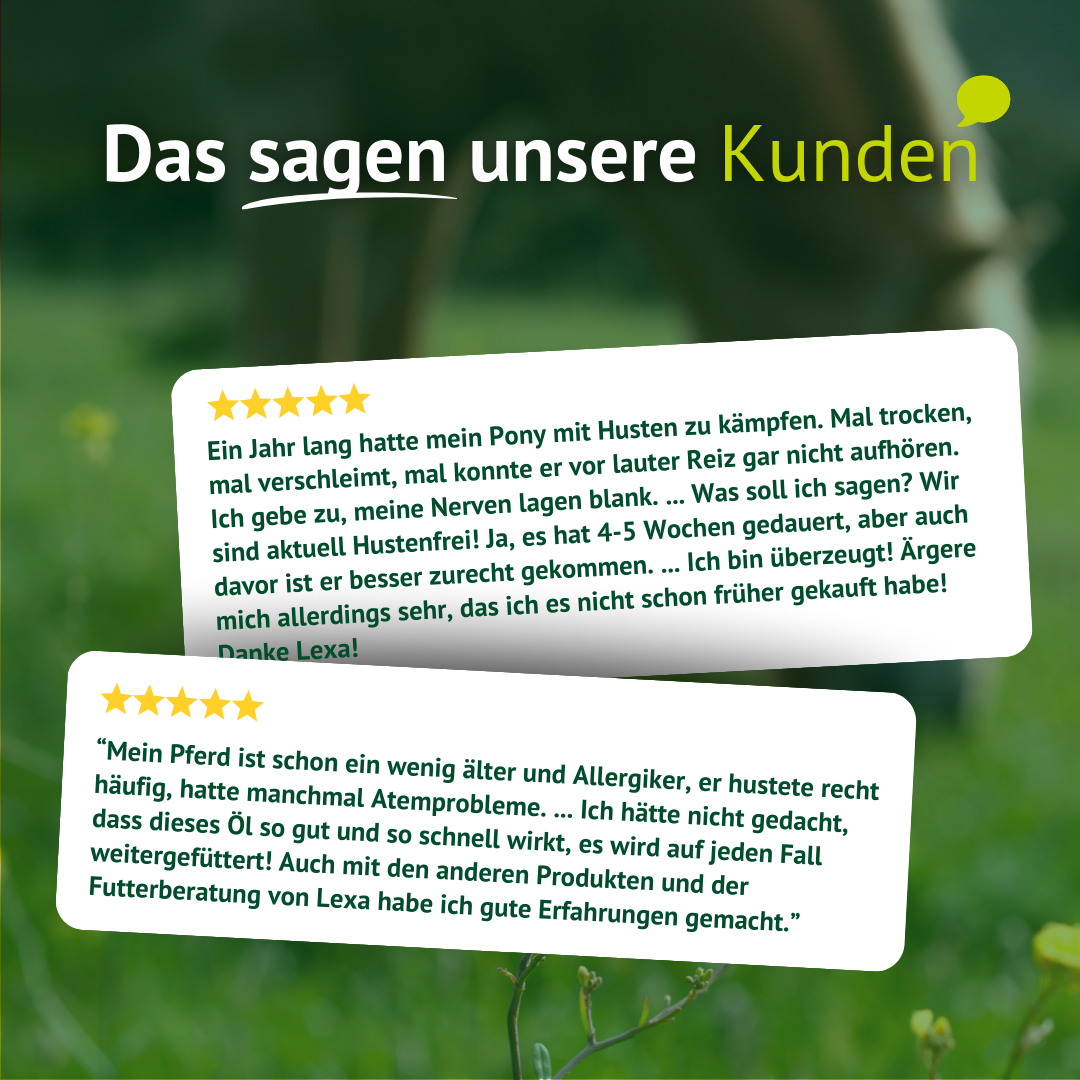 Kundenbewertungen zu Sabol® – positive Erfahrungsberichte von Pferdehaltern bei Husten und Atemwegsproblemen.