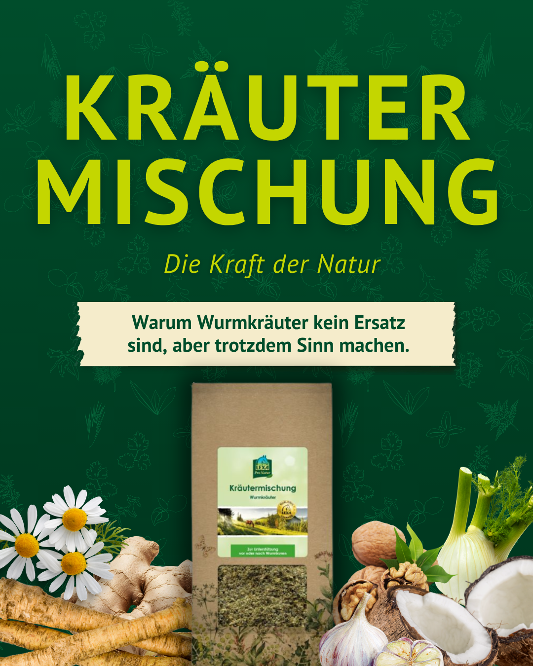 Kräutermischung Wurmkräuter für Pferde – natürliche Unterstützung für Darmmilieu und Verdauung