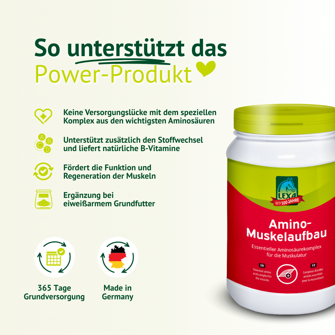 Produktdarstellung von LEXA Amino-Muskelaufbau mit Übersicht zur Aminosäuren-Kombination für aktive Pferde