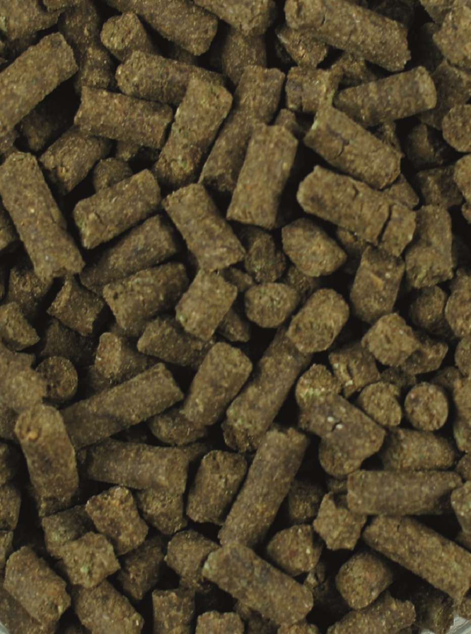 Pflanzenbasierte Pellets Braune Pellets aus pflanzlichem Material, unregelmäßig geformt und in verschiedenen Größen.