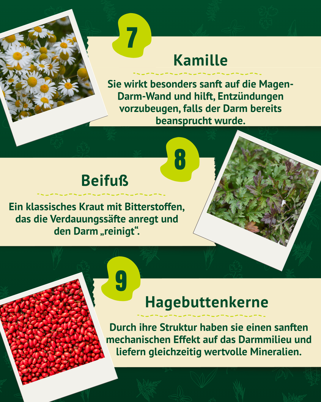 Kamille, Beifuß und Hagebuttenkerne als natürliche Bestandteile der Wurmkräuter für Pferde