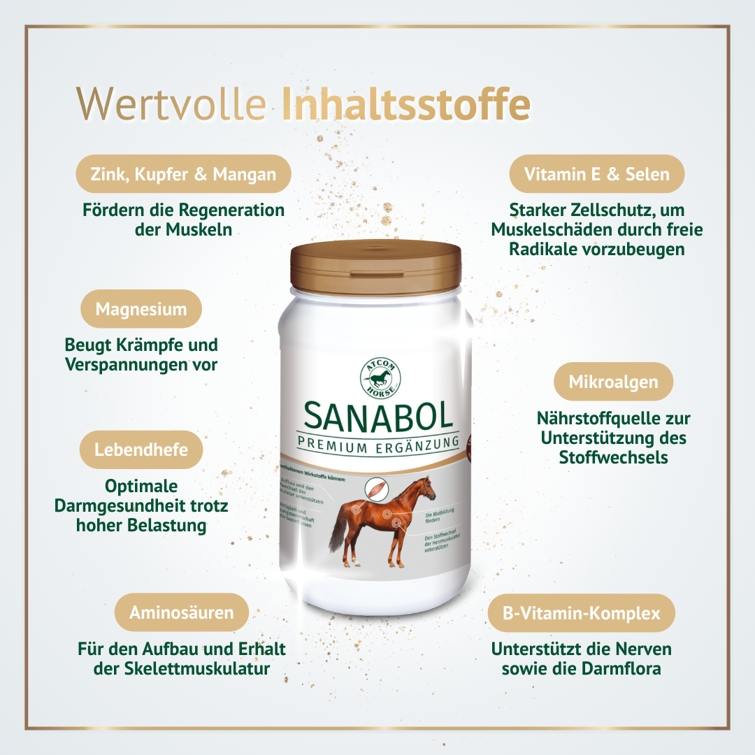 Grafik der Inhaltsstoffe von ATCOM Sanabol mit Mineralstoffen, Vitaminen, Aminosäuren, Mikroalgen und B-Vitamin-Komplex