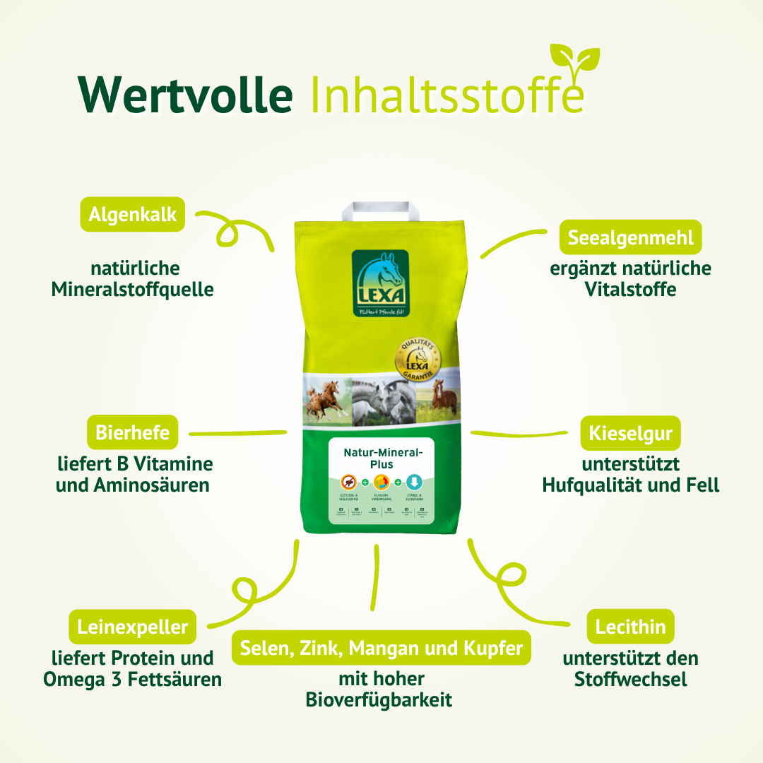 Mineralfutter Inhaltsstoffe wie Algenkalk, Bierhefe, Leinöl und Spurenelemente für gesunde Pferdeversorgung