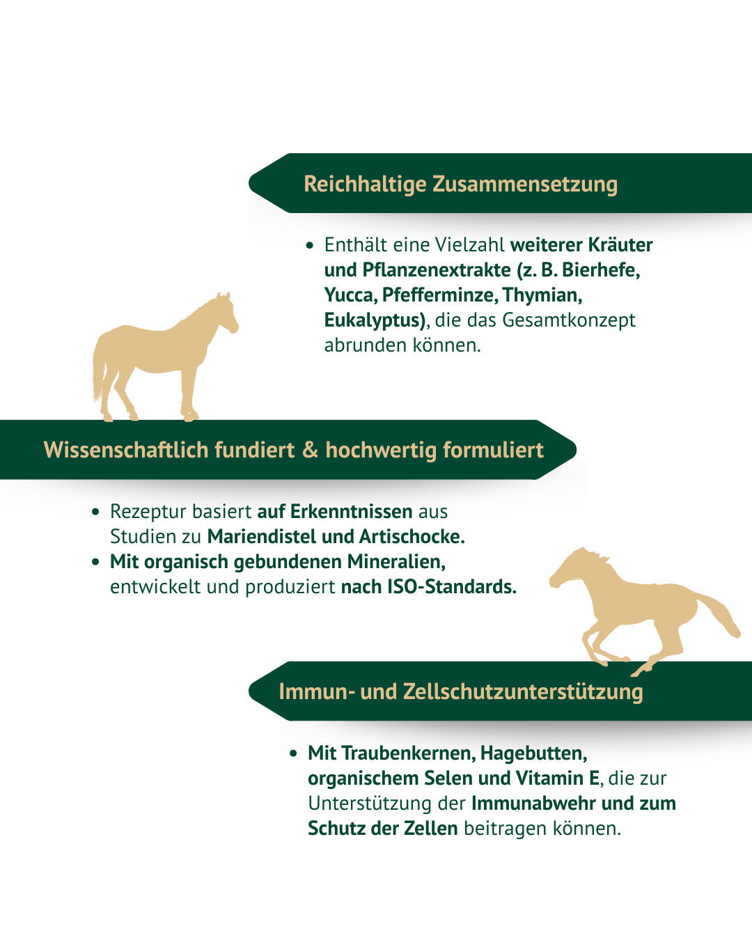 Infografik zu den Inhaltsstoffen von HEPAR-B, darunter Kräutermix mit Pfefferminze und Thymian sowie Selen und Vitamin E für den Zellschutz.