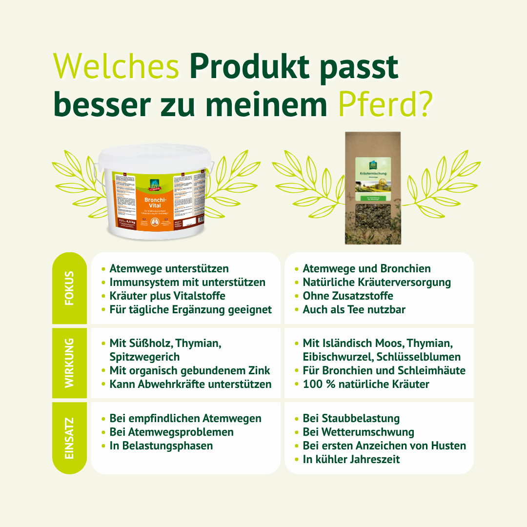 Bronchi Vital unterstützt Pferde bei Hustenreiz und gereizten Atemwegen