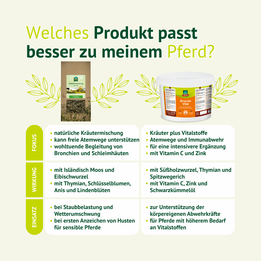 Vergleich von Kräutermischung und Ergänzungsfutter für die optimale Unterstützung der Atemwege beim Pferd
