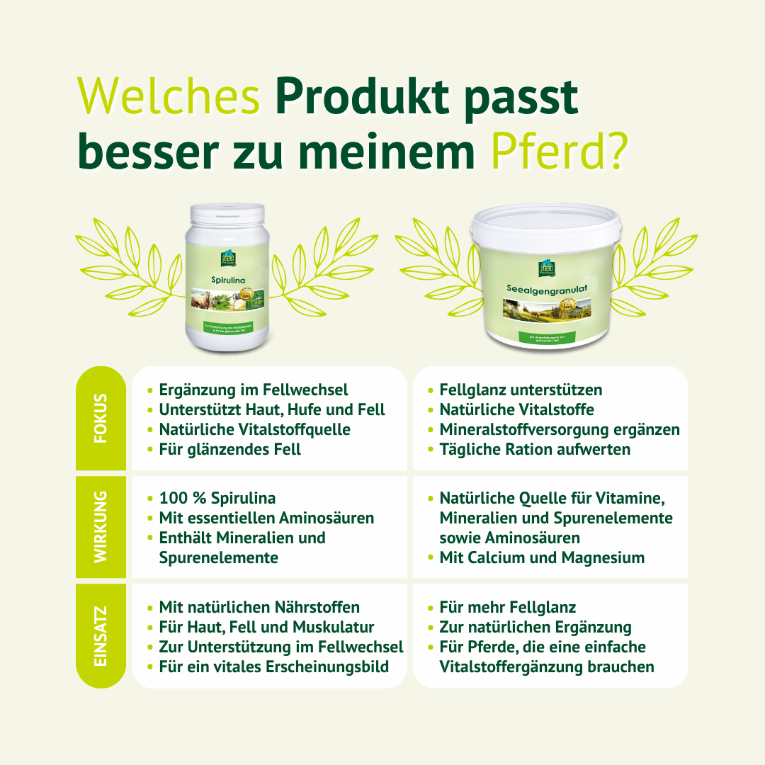 Produktvergleich zwischen LEXA Spirulina und Seealgengranulat mit Fokus, Wirkung und Einsatzbereichen für Pferde.