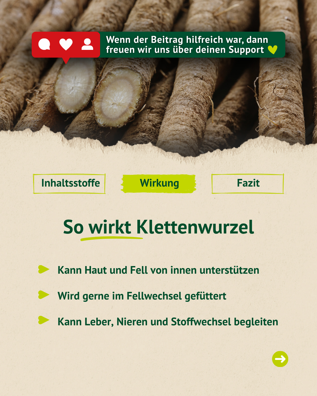 Infografik zur Wirkung von Klettenwurzel mit Informationen zur Unterstützung von Haut, Fell, Fellwechsel sowie Leber, Nieren und Stoffwechsel.