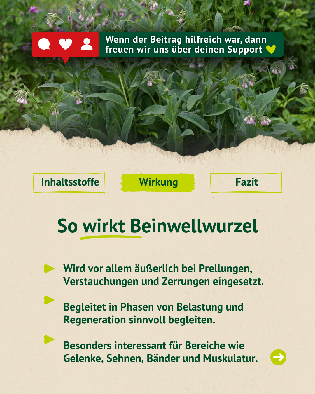 Infografik zur Wirkung von Beinwellwurzel mit Einsatzbereichen wie Prellungen, Verstauchungen und Regeneration bei Pferden.