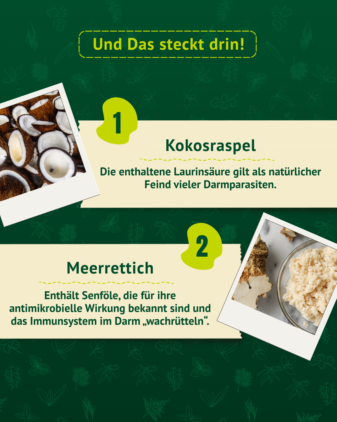 Inhaltsstoffe der Wurmkräuter Mischung mit Kokosraspeln und Meerrettich für Pferde