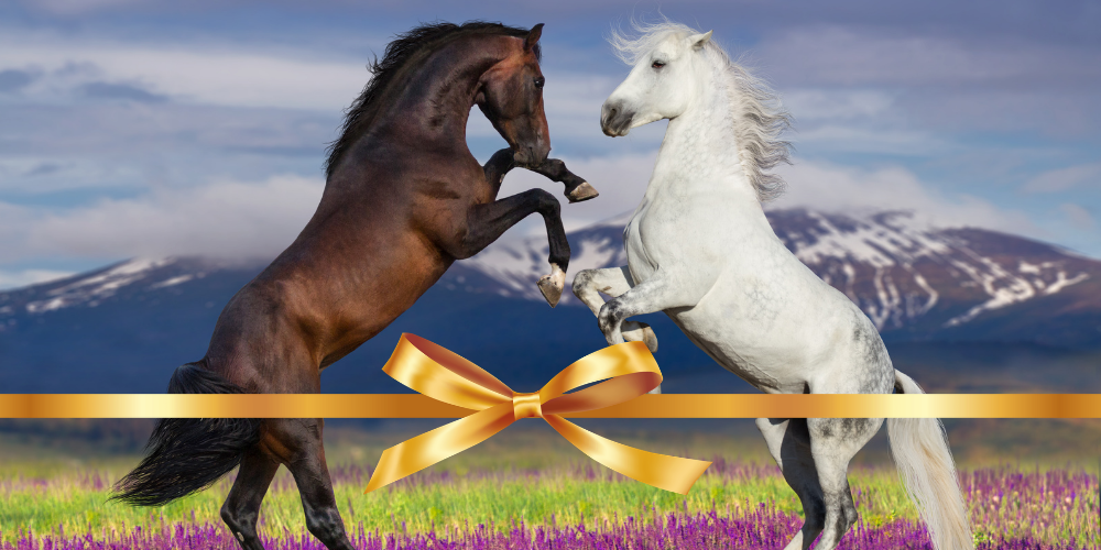Geschenkgutschein