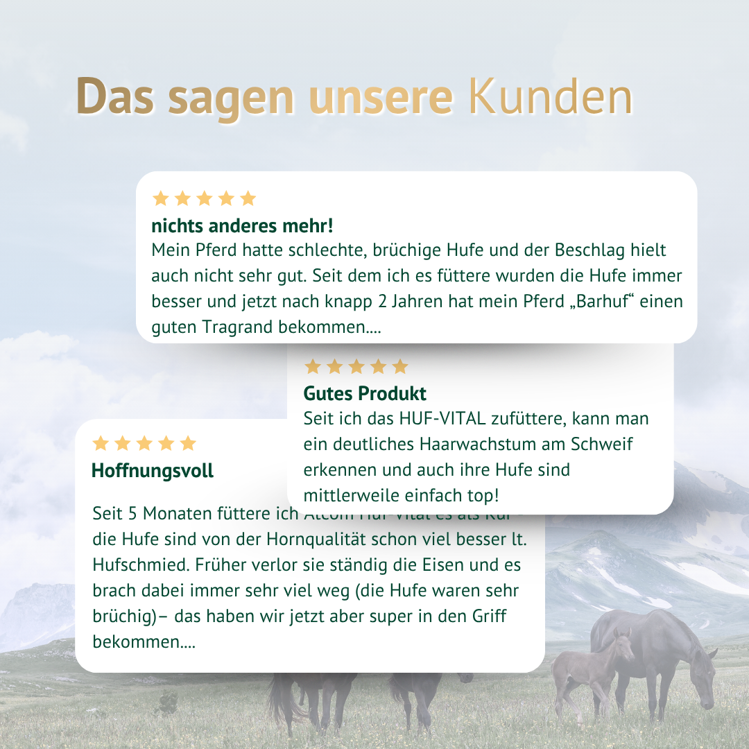 Kundenbewertungen zu ATCOM HUF-VITAL – Erfahrungsberichte über bessere Hufqualität und gesunde Pferde