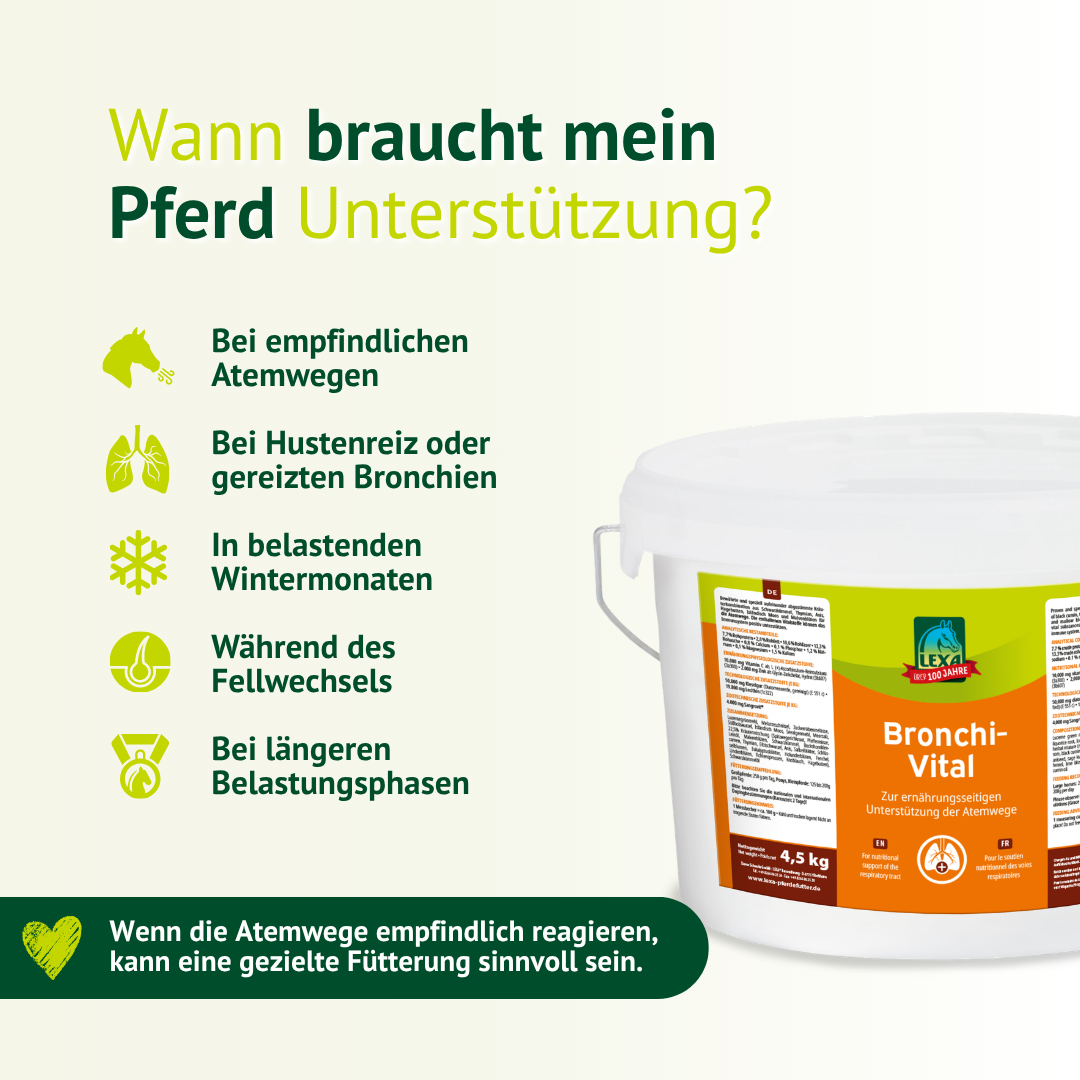 Wann braucht ein Pferd Atemwegsunterstützung – Bronchi Vital bei Husten, empfindlichen Bronchien und Fellwechsel