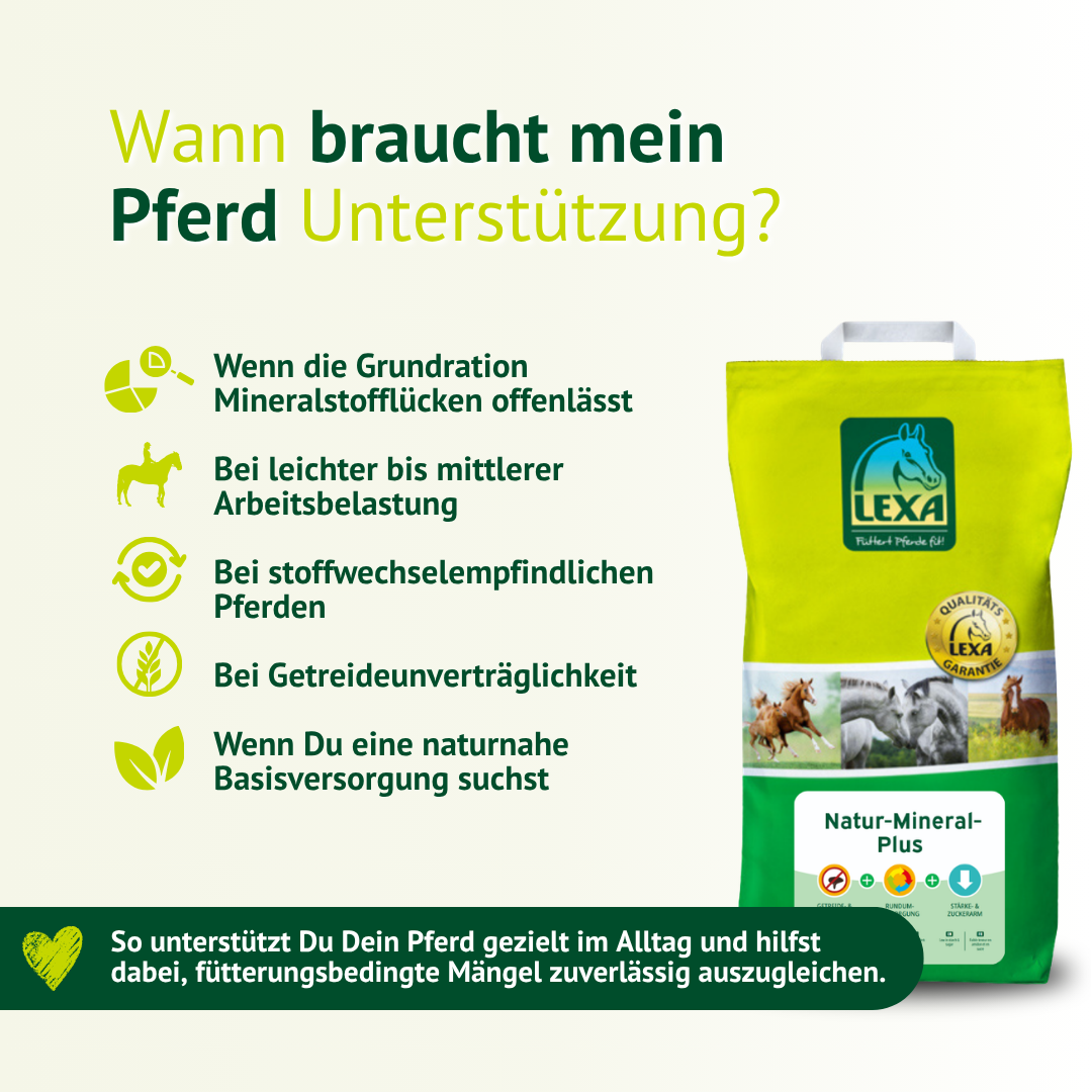 Mineralfutter für Pferde bei Mangelversorgung, Arbeitsbelastung oder Stoffwechselproblemen – gezielte Unterstützung im Alltag