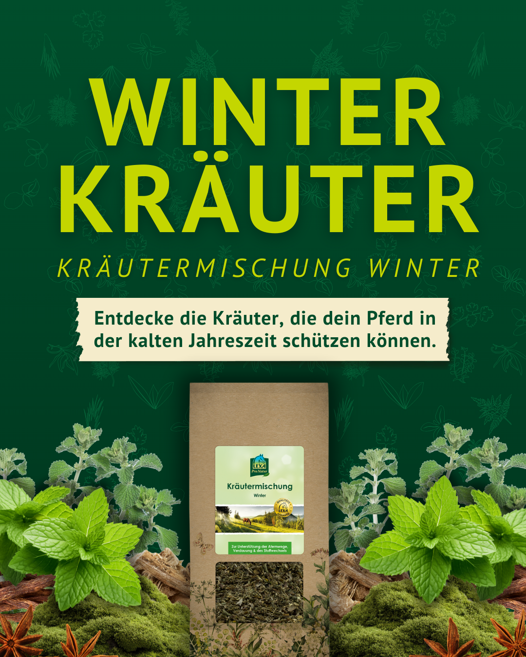Braune Verpackung mit getrockneter Winter-Kräutermischung, umgeben von frischen grünen Kräutern auf dunklem Hintergrund mit Text 'WINTER KRÄUTER' und 'Entdecke die Kräuter, die dein Pferd in der kalten Jahreszeit schützen können.'