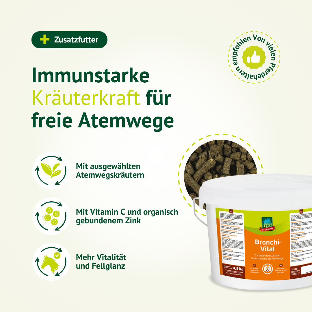 Bronchi Vital Zusatzfutter für Pferde mit Kräutern für freie Atemwege und starke Immunabwehr