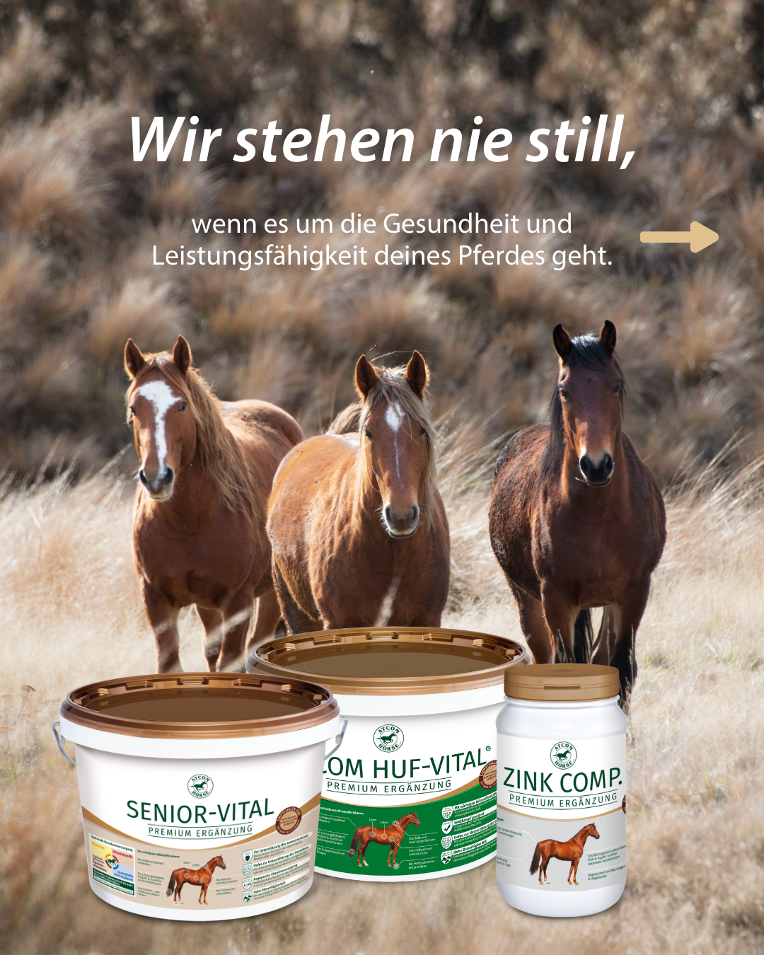 Produktübersicht von ATCOM mit den Produkten SENIOR-VITAL, HUE-VITAL und ZINK COMP. vor dem Hintergrund von drei Pferden auf einer Weide. Überschrift: "Wir stehen nie still, wenn es um die Gesundheit und Leistungsfähigkeit deines Pferdes geht."
