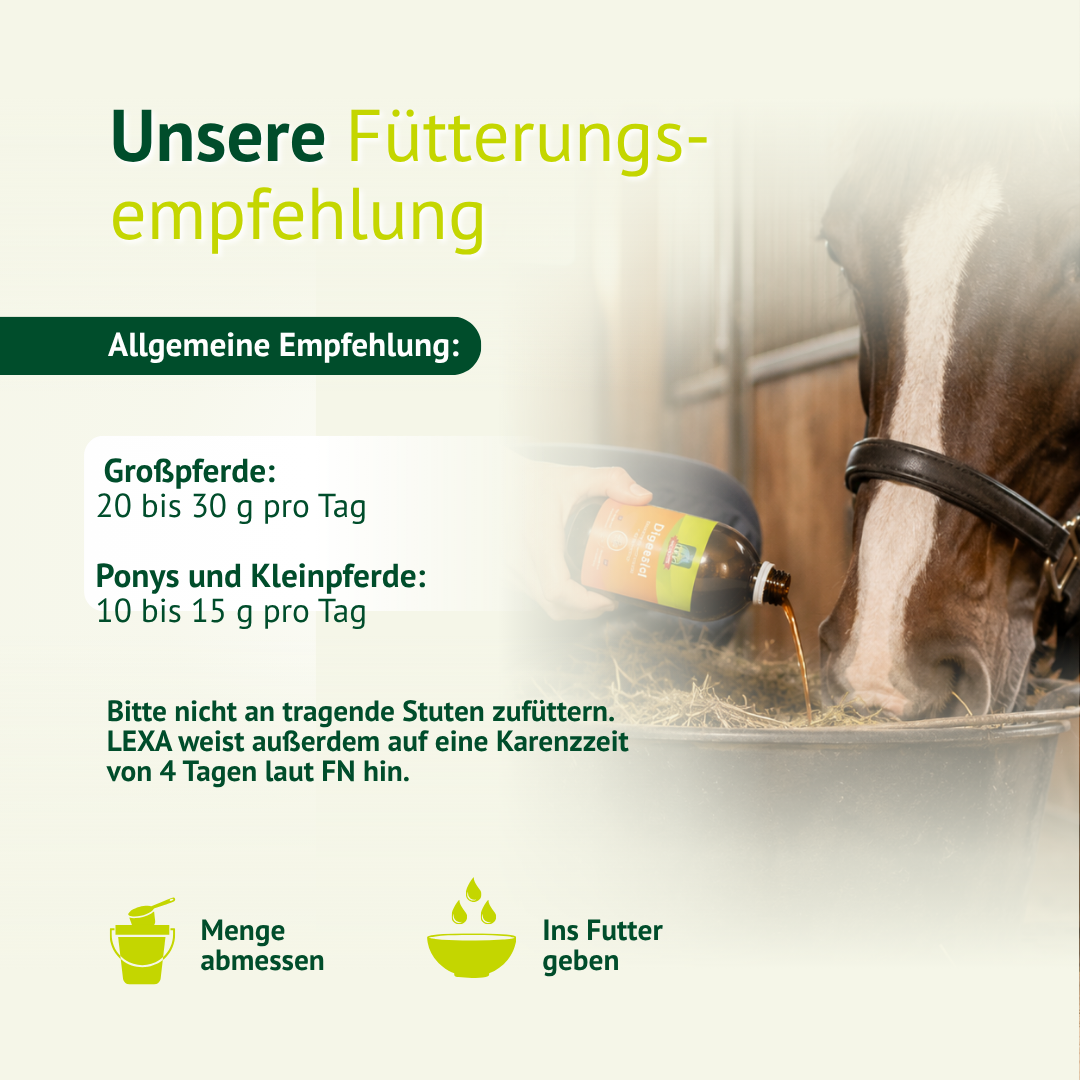 Fütterungsempfehlung für LEXA Teufelskralle mit Dosierung für Großpferde sowie Ponys und Kleinpferde, daneben ein Pferd mit Futterschüssel.