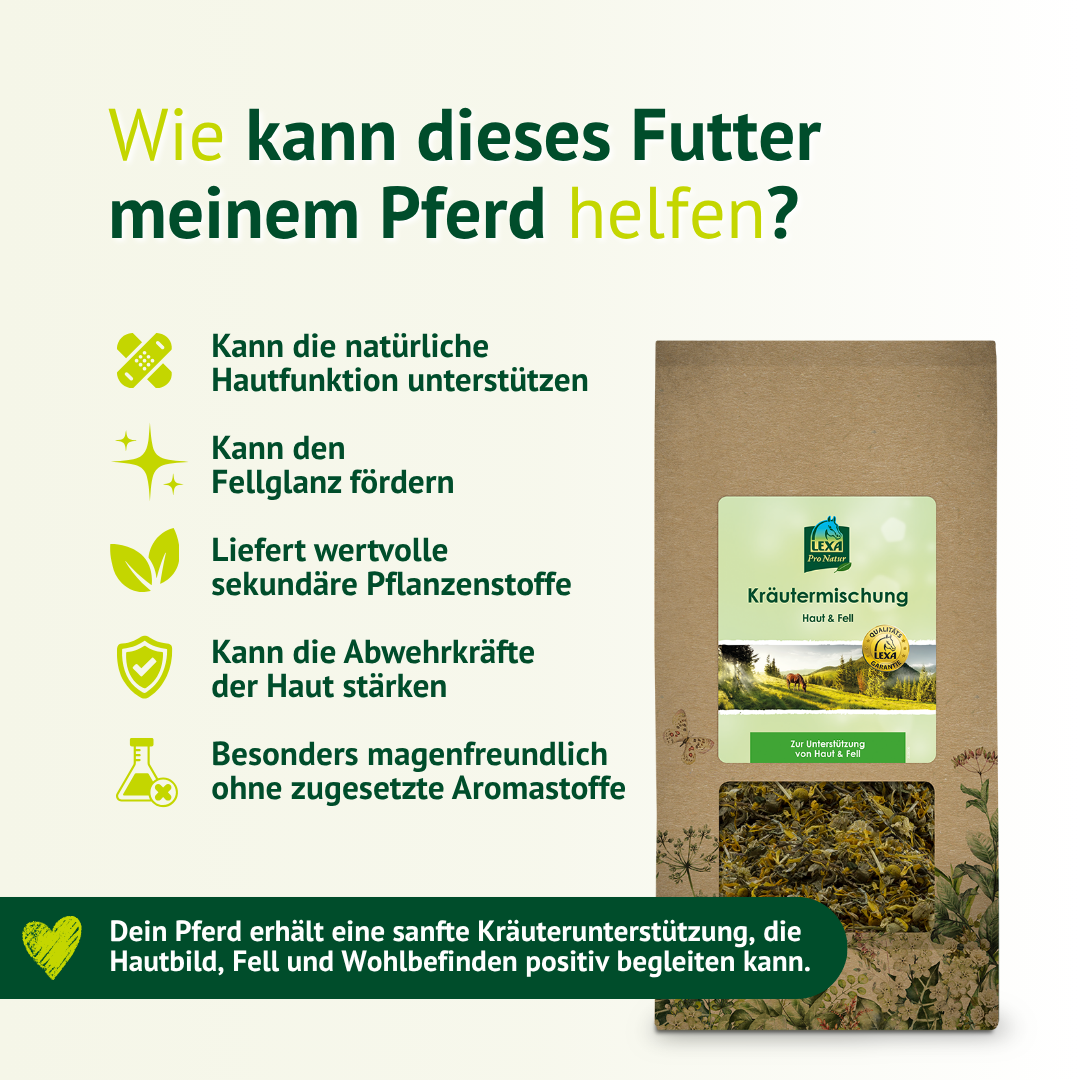 Übersicht zur Wirkung der LEXA Kräutermischung Haut & Fell für Hautfunktion, Fellglanz und Nährstoffversorgung