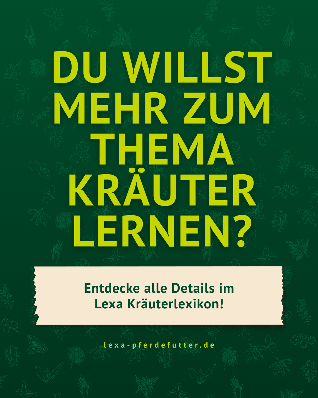 Du willst mehr zum Thema Kräuter erfahren? Bild mit Text