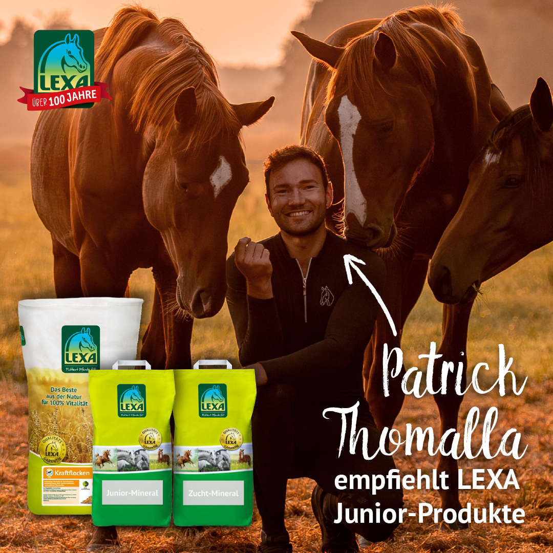 Patrick Thomalla Patrick Thomalla sitzt lächelnd zwischen drei braunen Pferden bei Sonnenuntergang, neben ihm stehen LEXA Junior-Mineral und Zucht-Mineral Pferdefutterprodukte